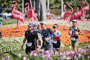 BIB: 
                            <button type="button" onclick="openModal(27793159)" class="btn btn-primary btn-sm float-right btn-popup" data-toggle="modal" data-target=".modal-high-quality">
                        <i class="fas fa-shopping-cart"></i> Add to Cart
                    </button>
                                            <button type="button" onclick="isThisMe(27793159, true)" class="btn btn-success btn-sm float-right btn-popup btn-isme hidden" data-toggle="tooltip" data-placement="bottom" title="นี่คือรูปของคุณใช่ไหม คลิกที่นี่เพื่อเอาเข้าอัลบั้ม">
                        <i class="fas fa-plus"></i> Add to album
                    </button>
                    <button type="button" onclick="isThisMe(27793159, false)" class="btn btn-warning btn-sm float-right btn-popup btn-isnotme hidden">
                        <i class="fas fa-ban"></i> Remove from album
                    </button>